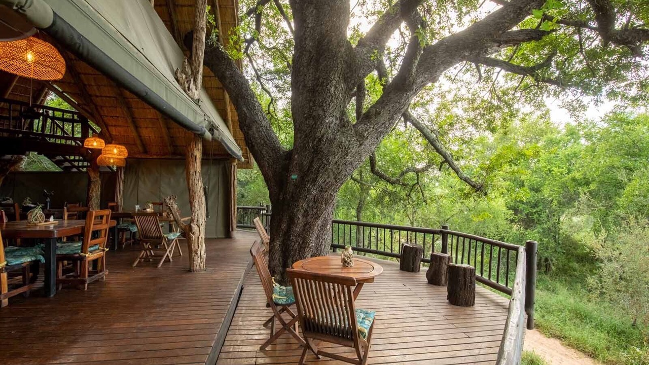 Photo of Others in Kruger National Park
