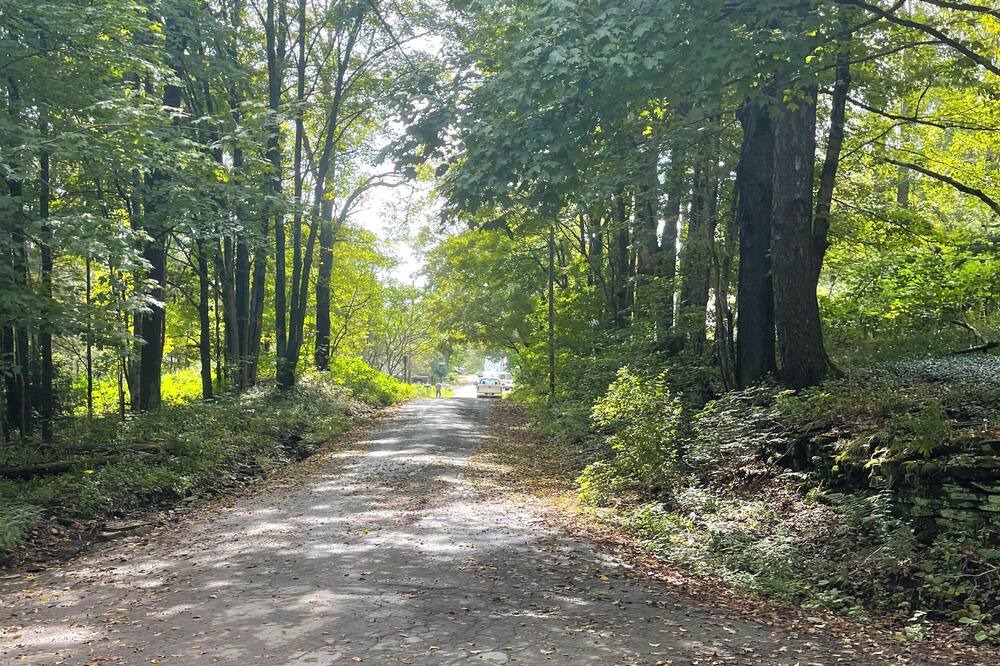 Photo of Outdoor in Union Dale