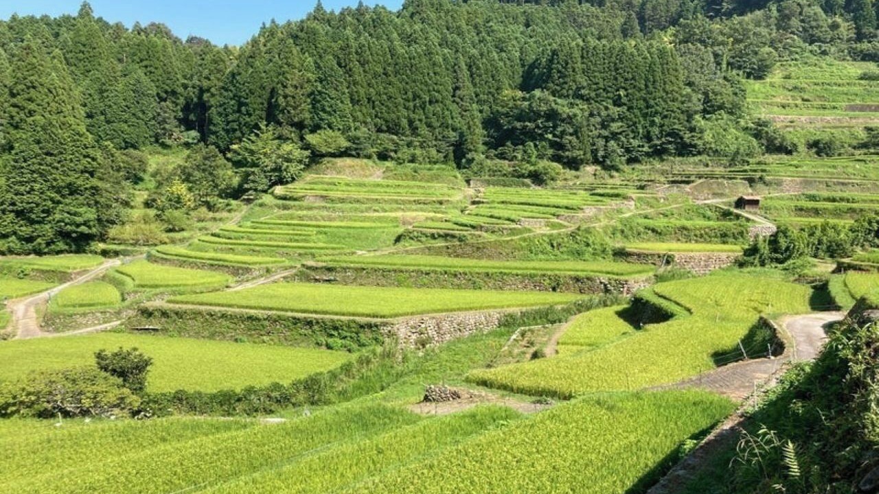 Photo of Others in Ukiha