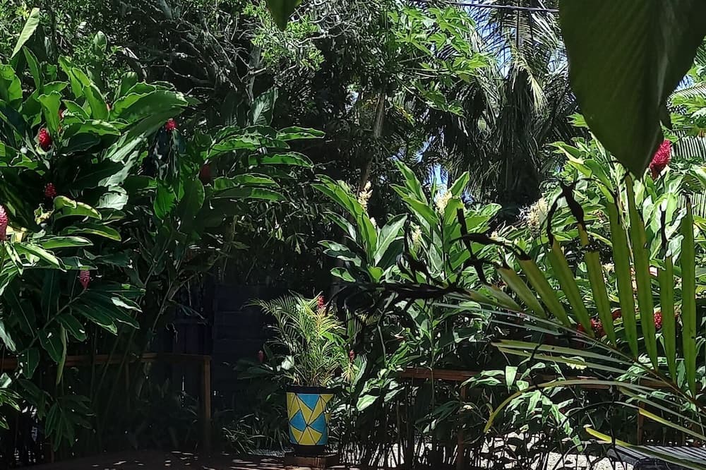 Photo of Outdoor in Arorangi