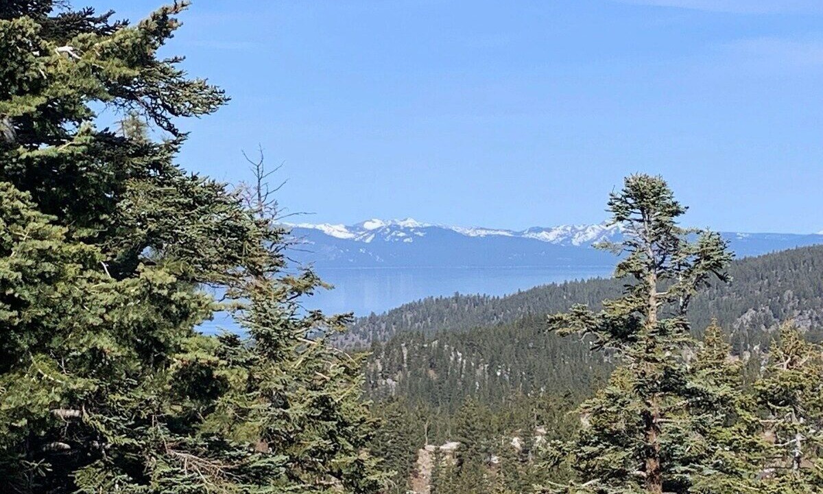 Photo of Others in Tahoe Village
