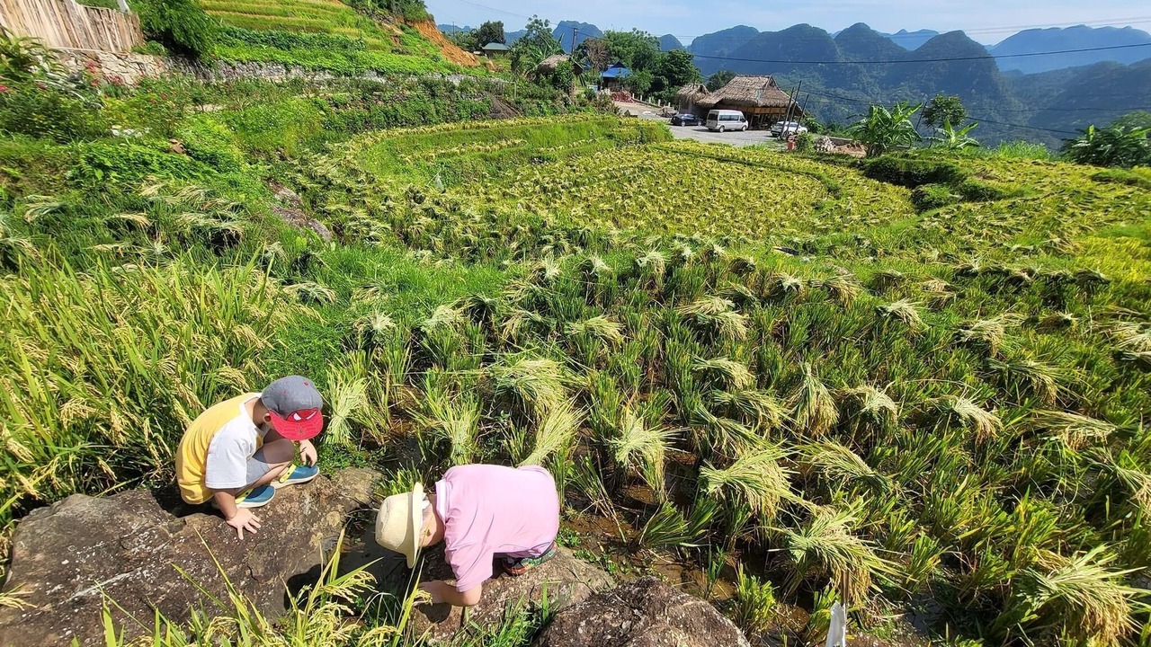 Photo of Others in Pu Long Nature Reserve