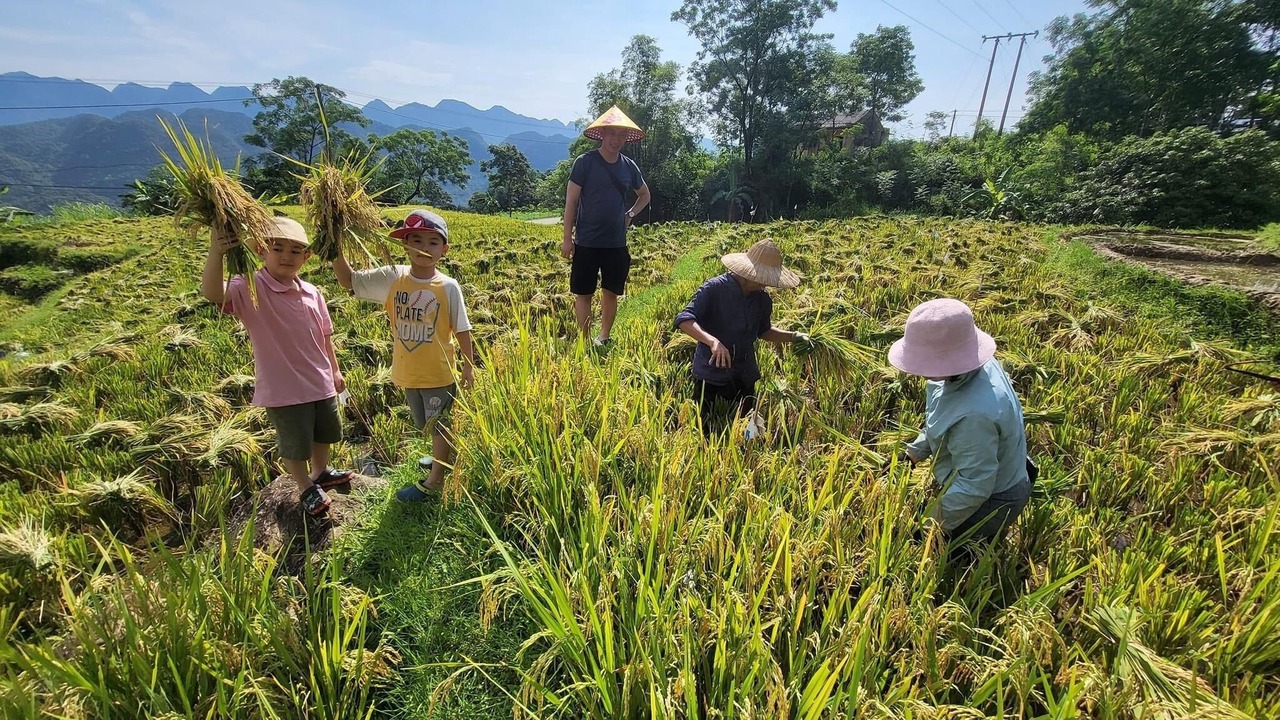 Photo of Others in Pu Long Nature Reserve