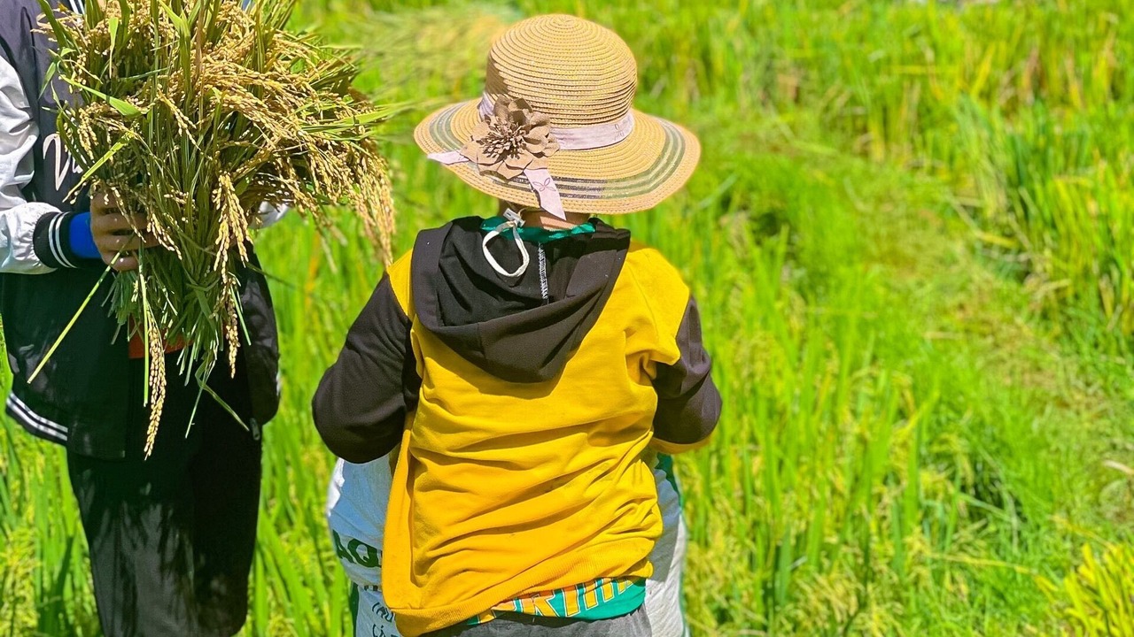 Photo of Others in Pu Long Nature Reserve