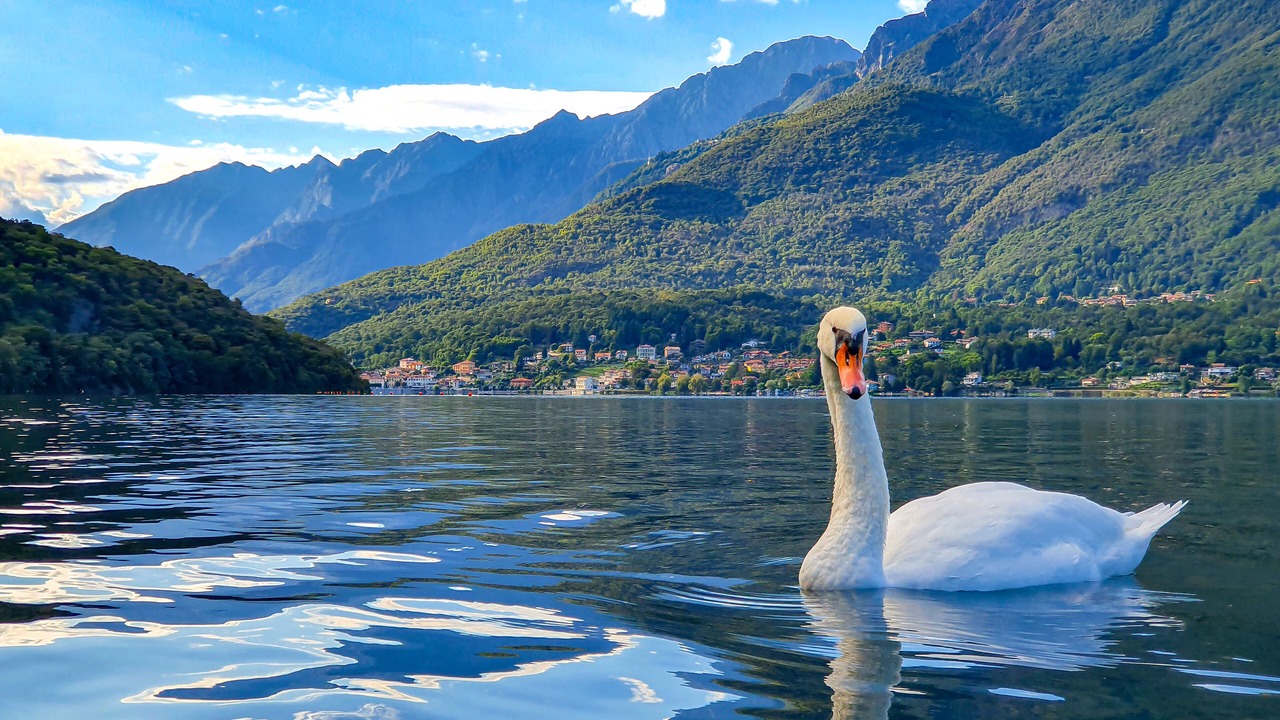 Photo of Outdoor in Gravellona Toce