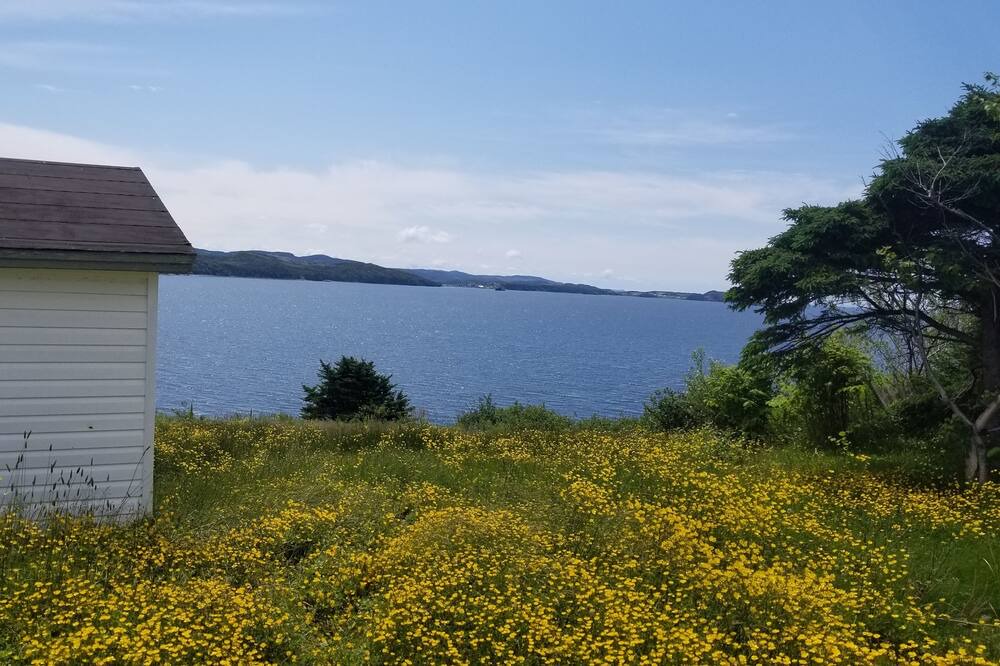 Photo of Outdoor in Arnold's Cove
