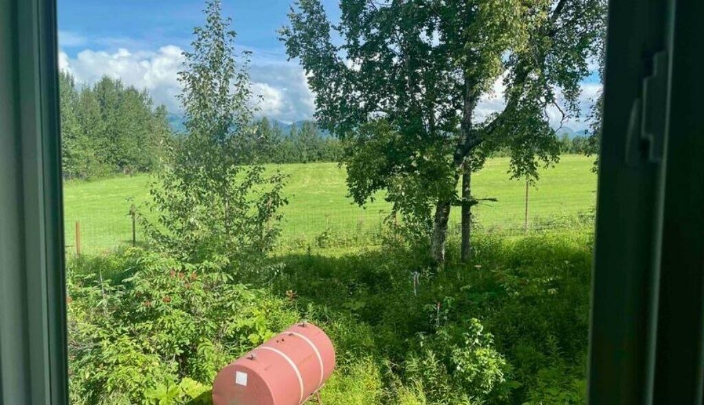 Photo of Outdoor in Lazy Mountain