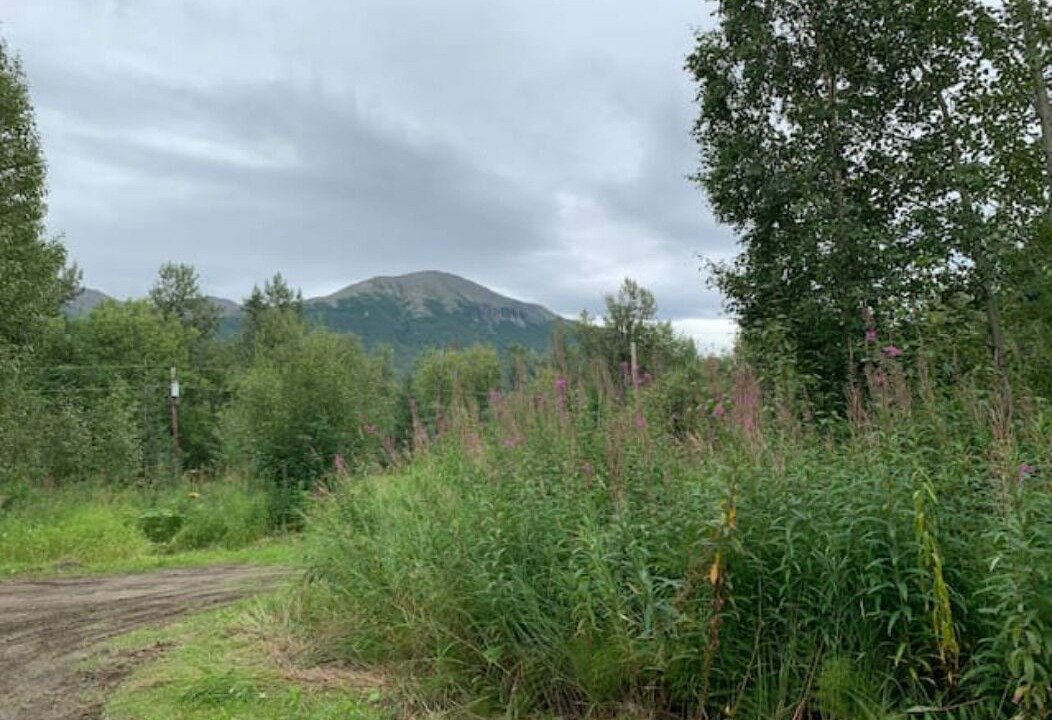 Photo of Outdoor in Lazy Mountain