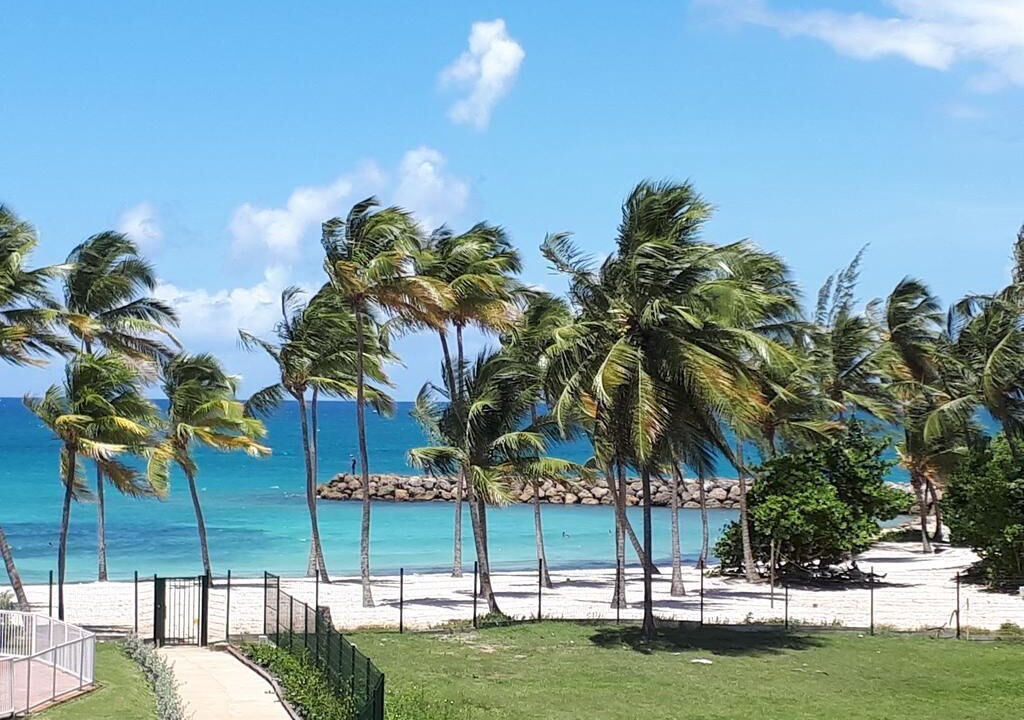 Photo of Outdoor in Pointe de la verdure