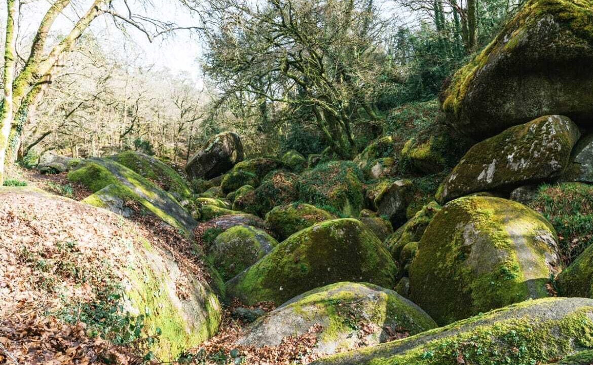 Photo of Outdoor in Plonevez-du-Faou