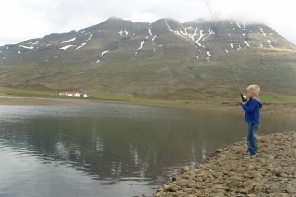Photo of Others in Stoovarfjorour