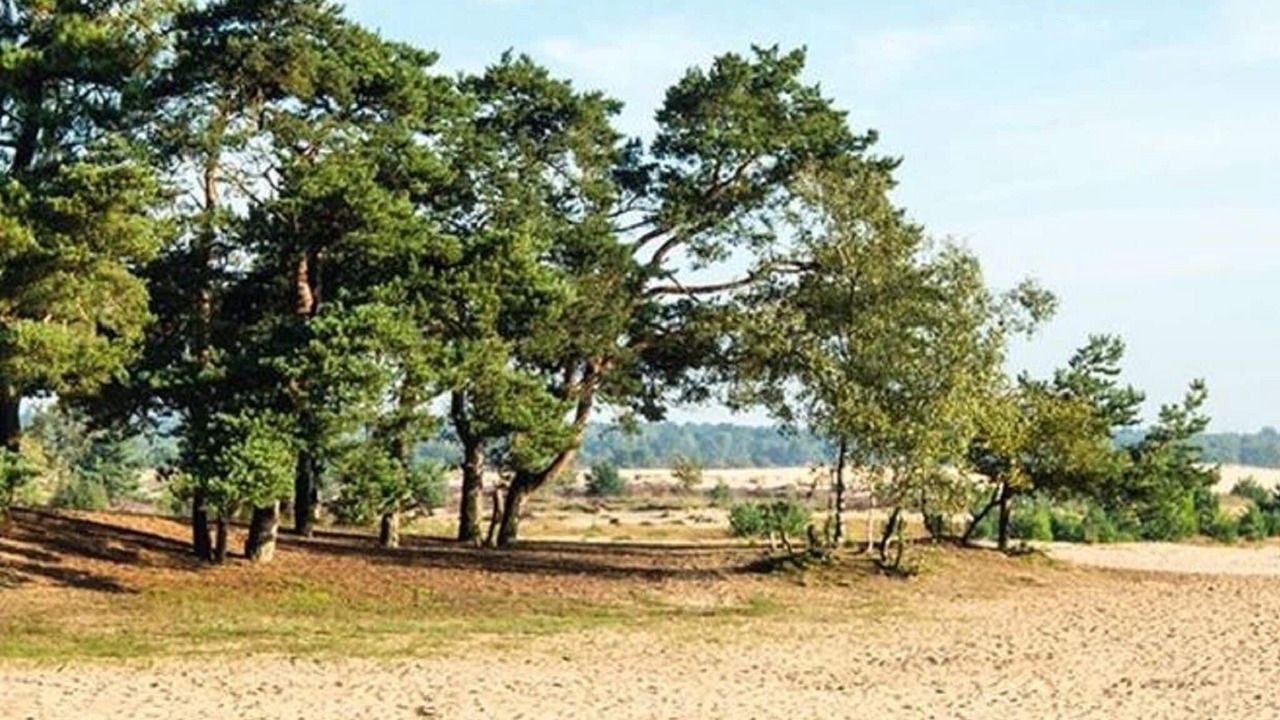 Photo of Others in Nieuwkuijk