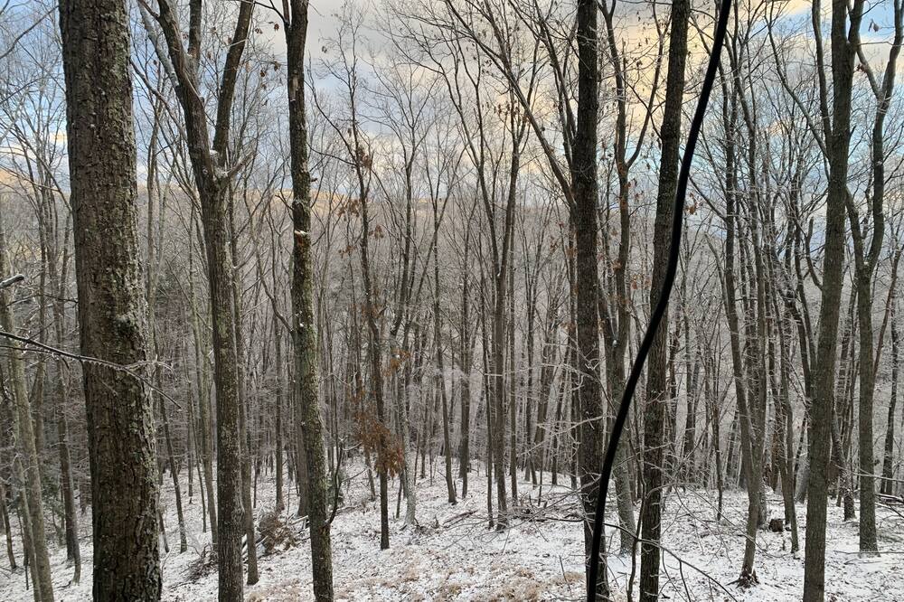 Photo of Outdoor in Mathias