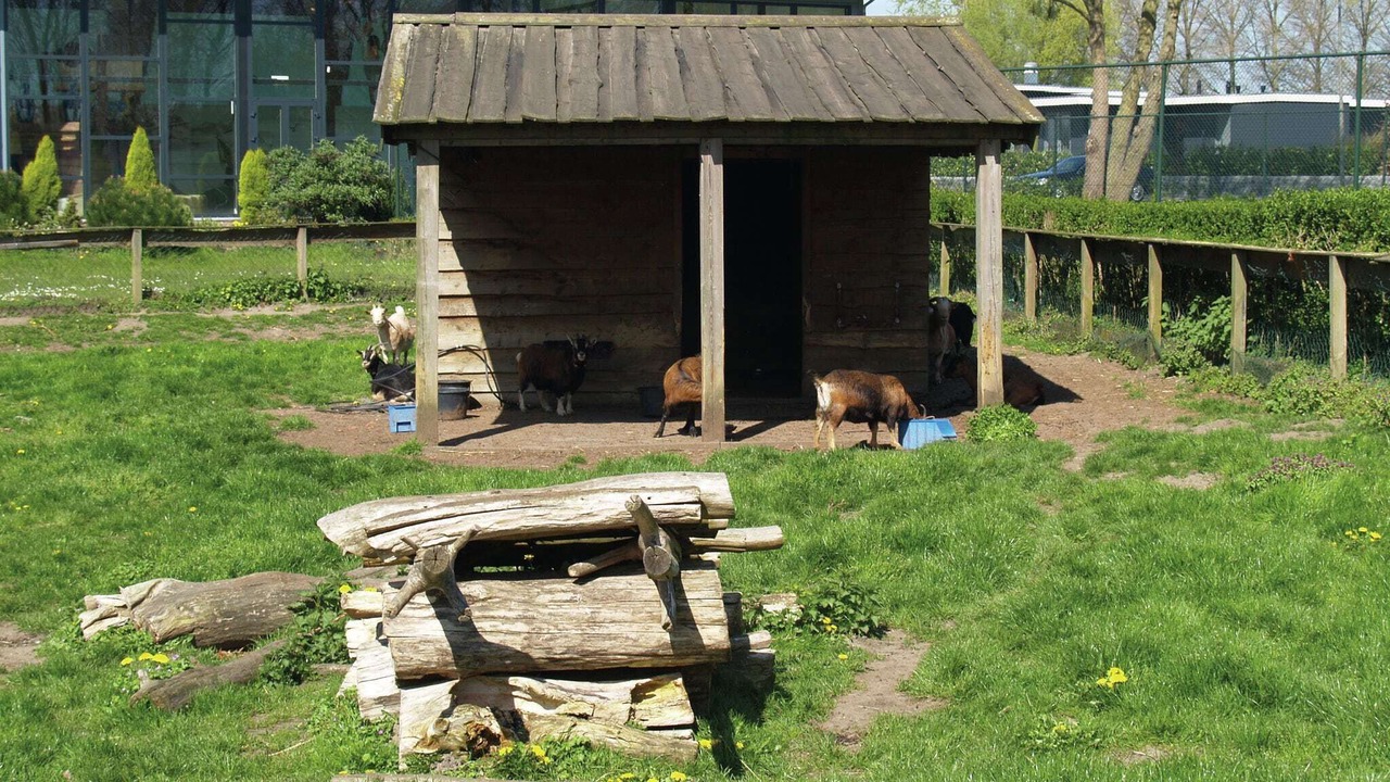 Photo of Others in Dordtse Biesbosch