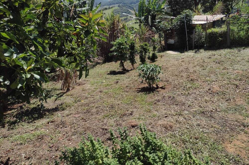 Photo of Outdoor in Camanducaia