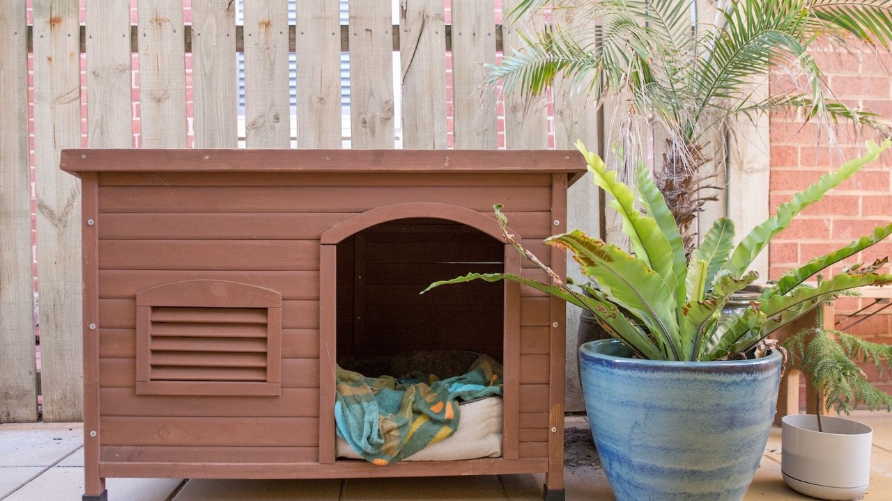 Photo of Outdoor in Largs Bay