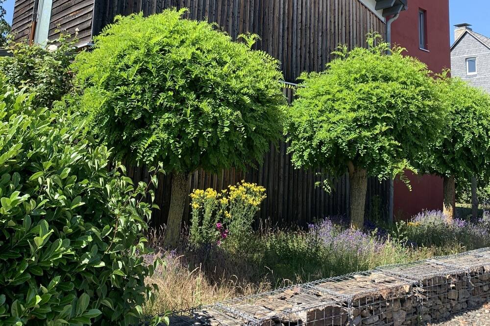 Photo of Outdoor in Boppard