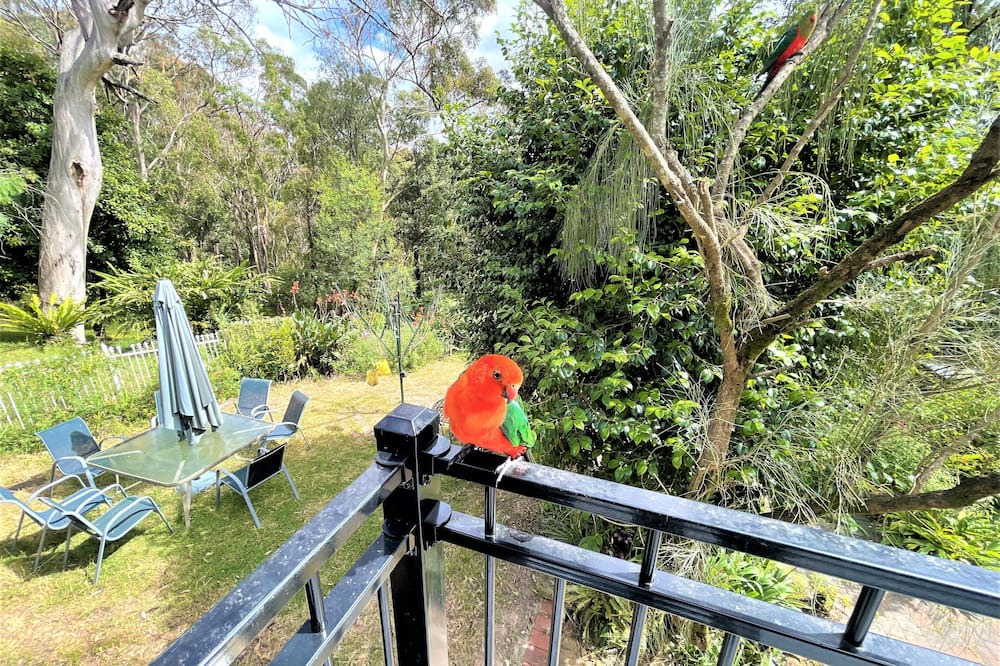 Photo of Others in Winmalee