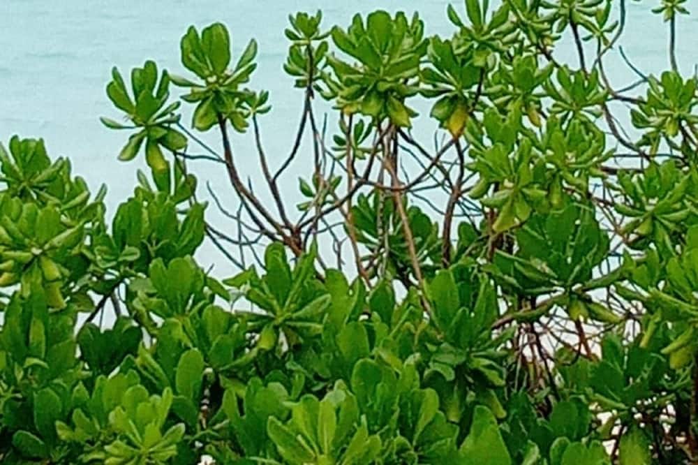 Photo of Others in Great Harbour Cay