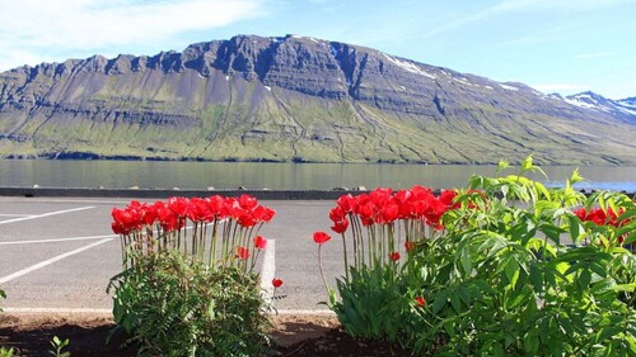 Photo of Others in Neskaupstadur