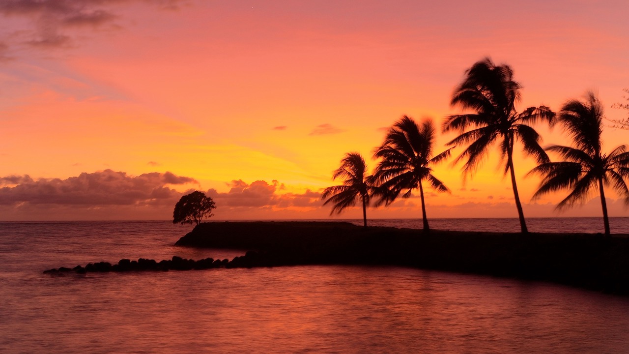 Photo of Outdoor in Tuasivi
