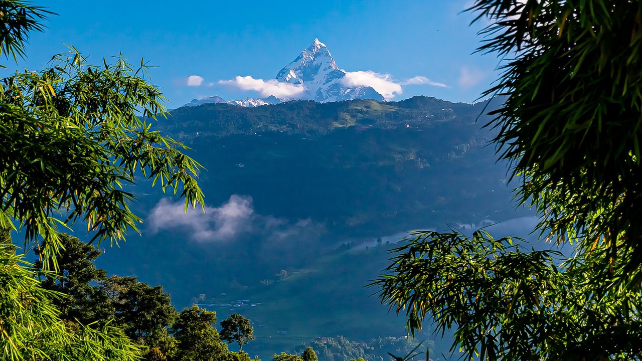 Photo of Others in Pokhara