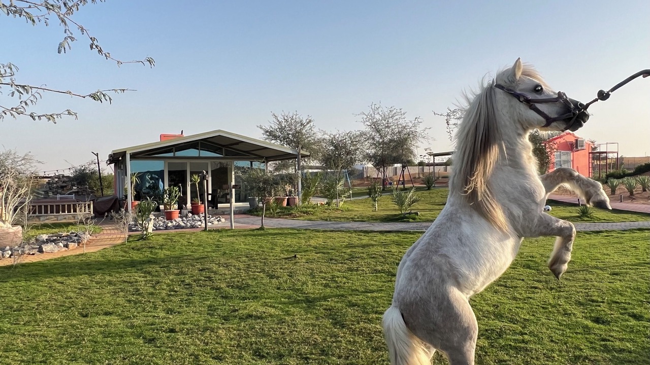 Photo of Others in Ras Al Khaimah