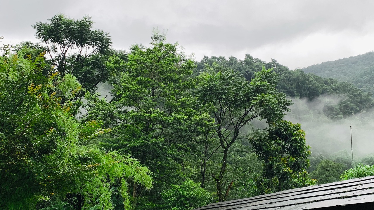 Photo of Outdoor in Kaski