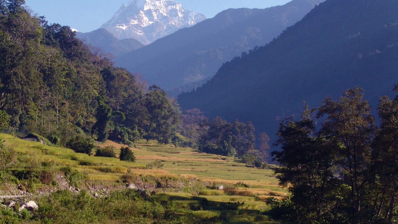 Photo of Others in Kaski