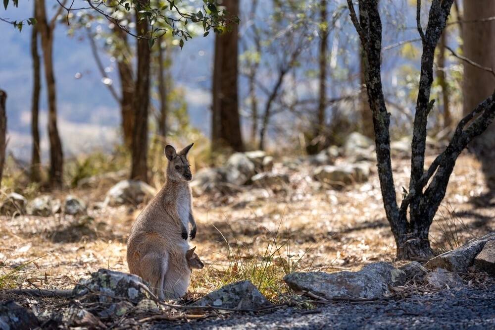 Photo of Others in Vacy