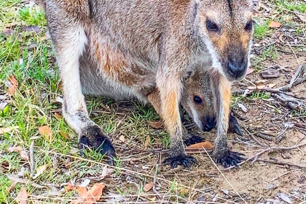 Photo of Others in Vacy