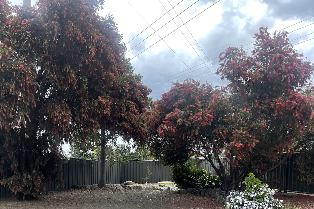 Photo of Outdoor in East Tamworth