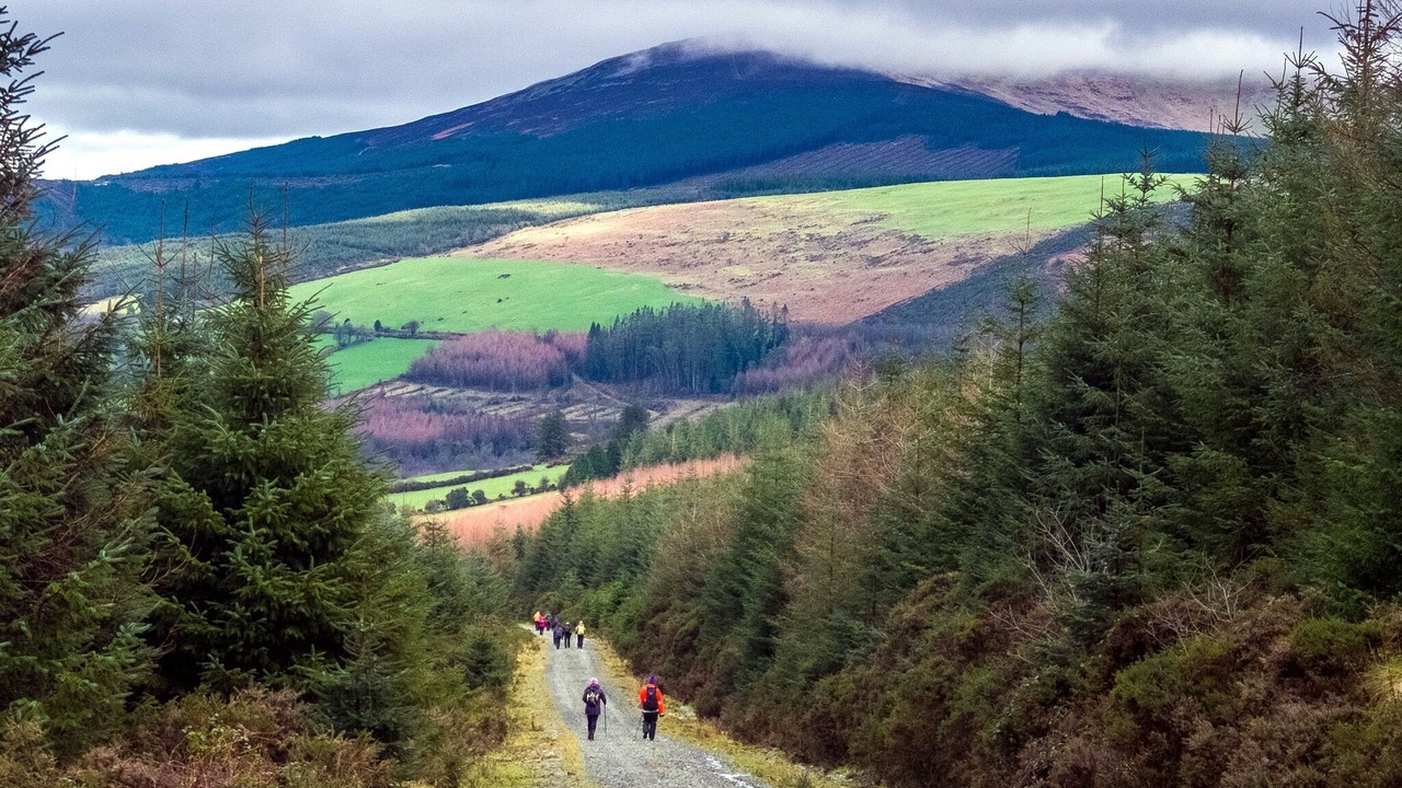 Photo of Outdoor in Tinahely