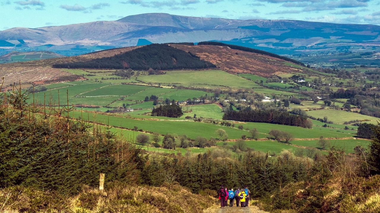 Photo of Outdoor in Tinahely