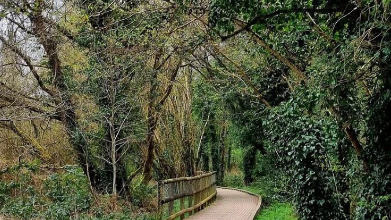 Photo of Outdoor in Tinahely