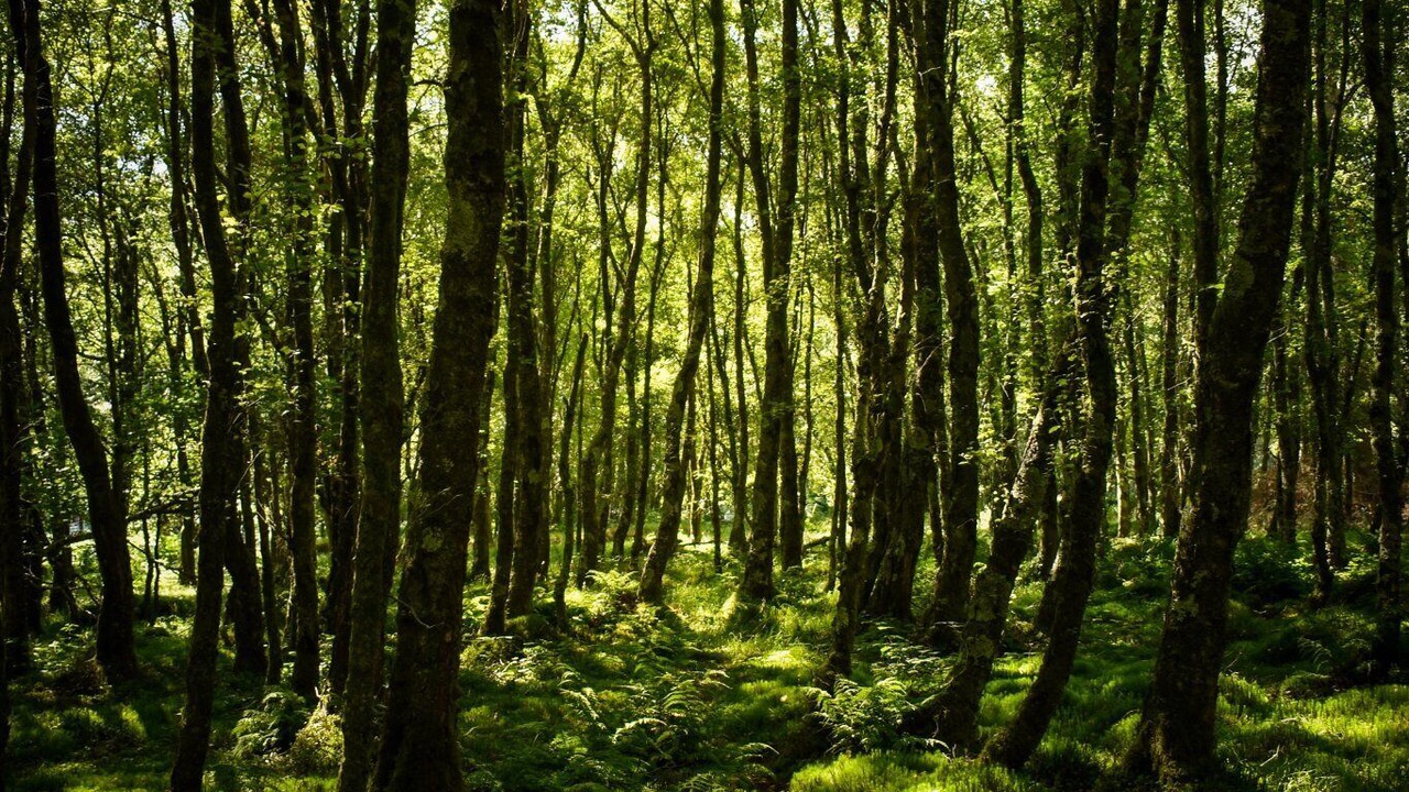 Photo of Outdoor in Tinahely