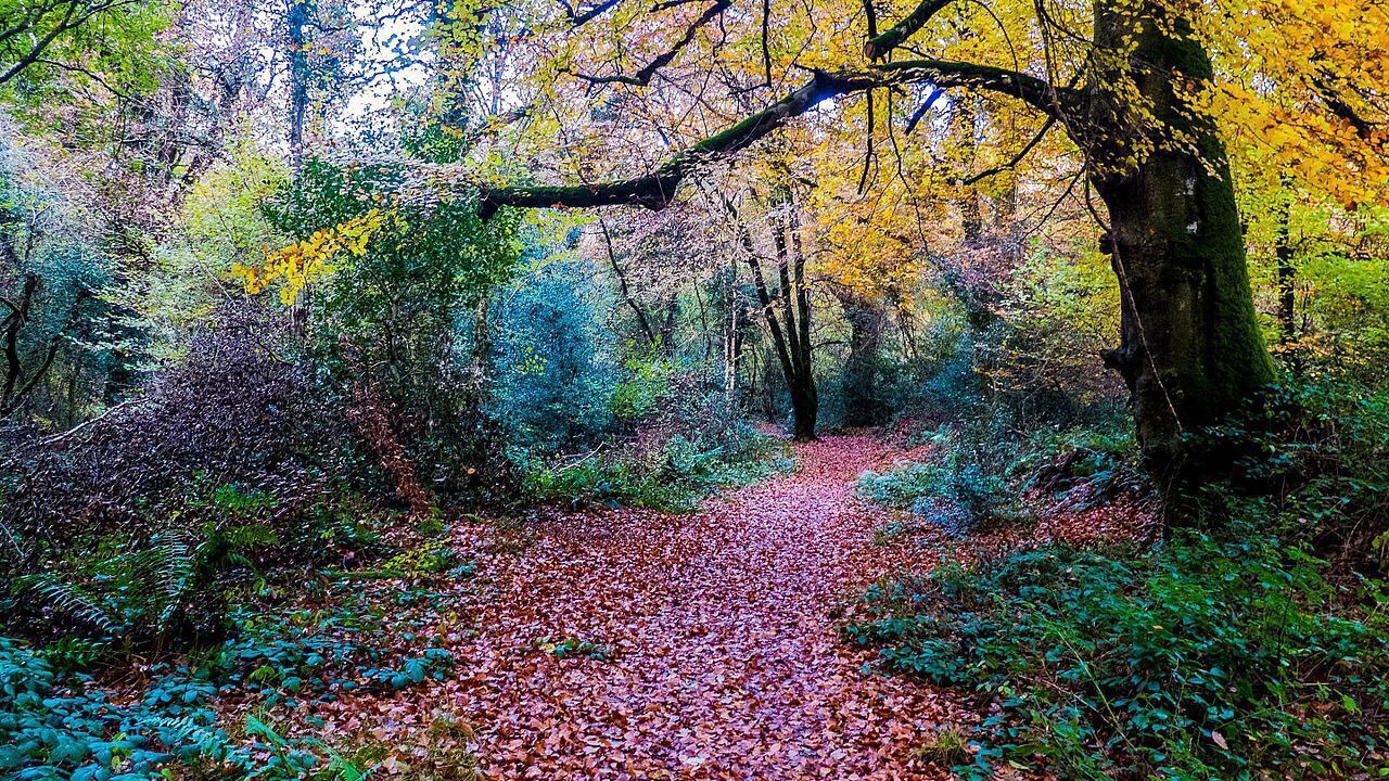 Photo of Outdoor in Tinahely