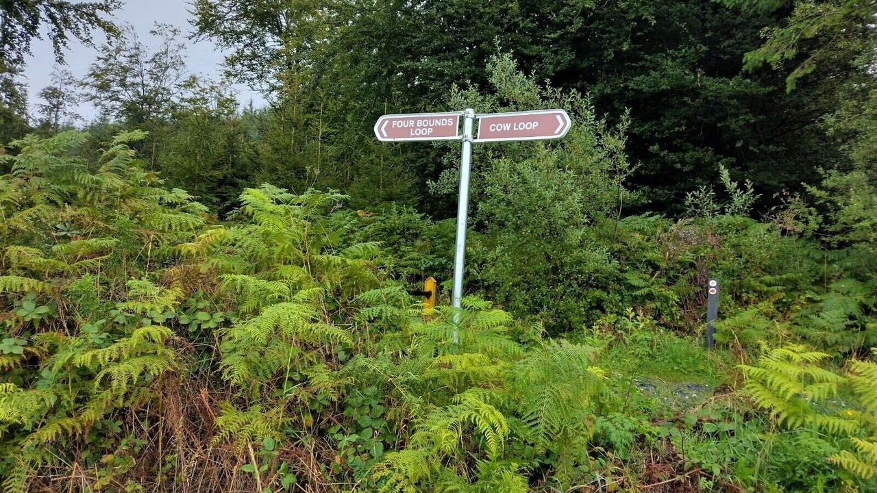 Photo of Outdoor in Tinahely