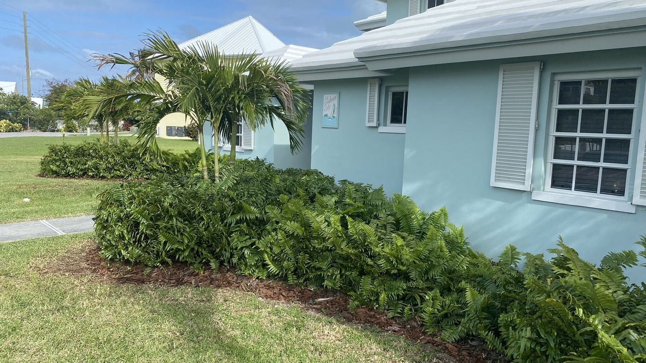 Photo of Outdoor in Lubbers Quarters Cay