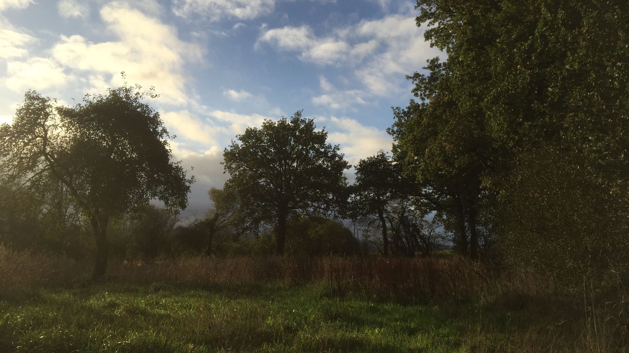 Photo of Outdoor in Carnoet