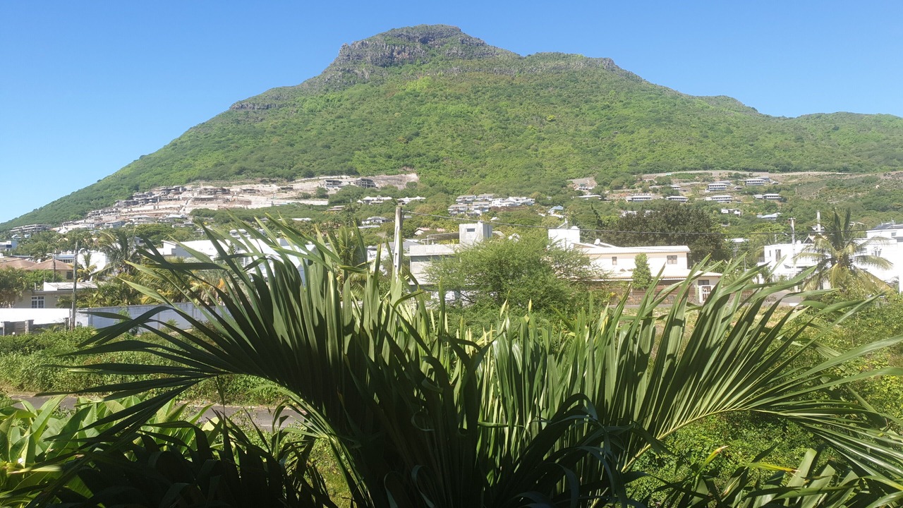 Photo of Outdoor in La Preneuse
