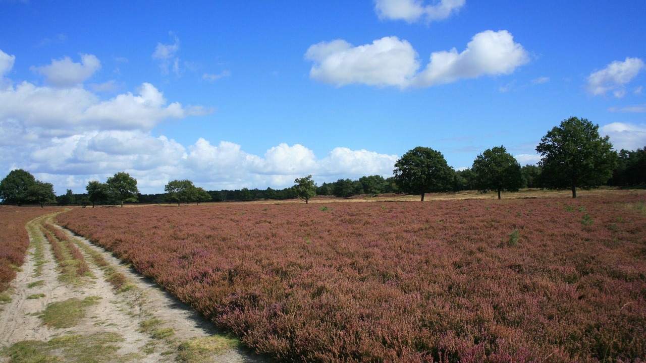 Photo of Outdoor in Municipality of Geldrop-Mierlo