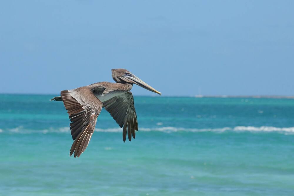 Photo of Others in Pointe de la verdure