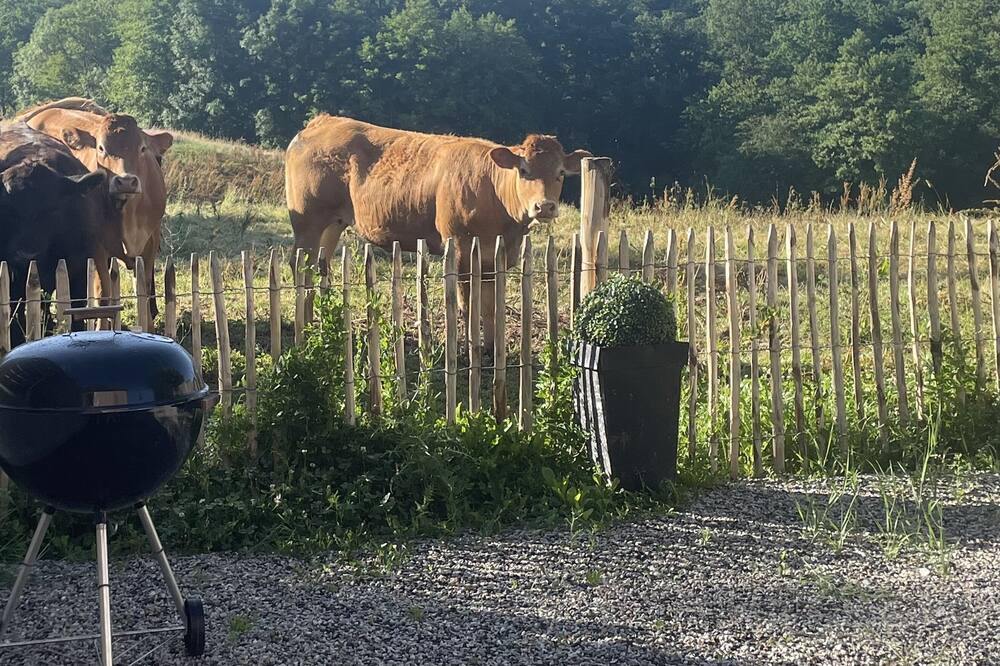 Photo of Outdoor in Vicq-sur-Breuilh