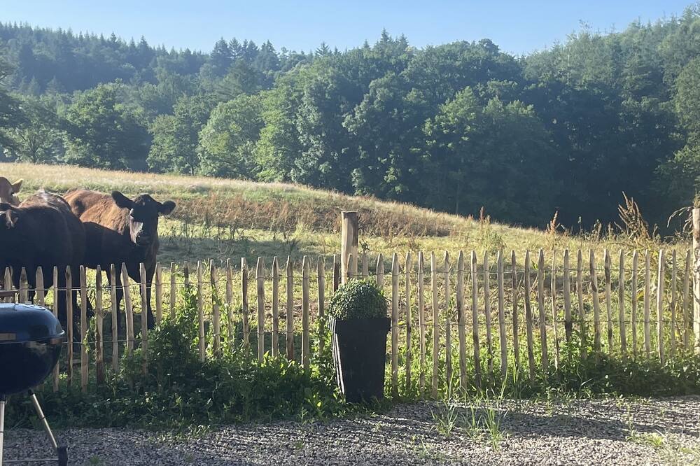 Photo of Outdoor in Vicq-sur-Breuilh