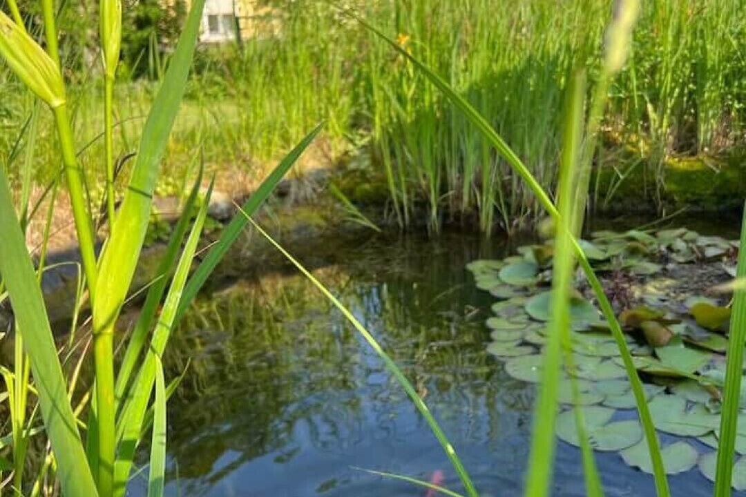 Photo of Outdoor in Burgthann