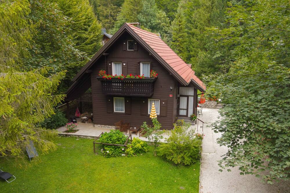Photo of Outdoor in Gozd Martuljek