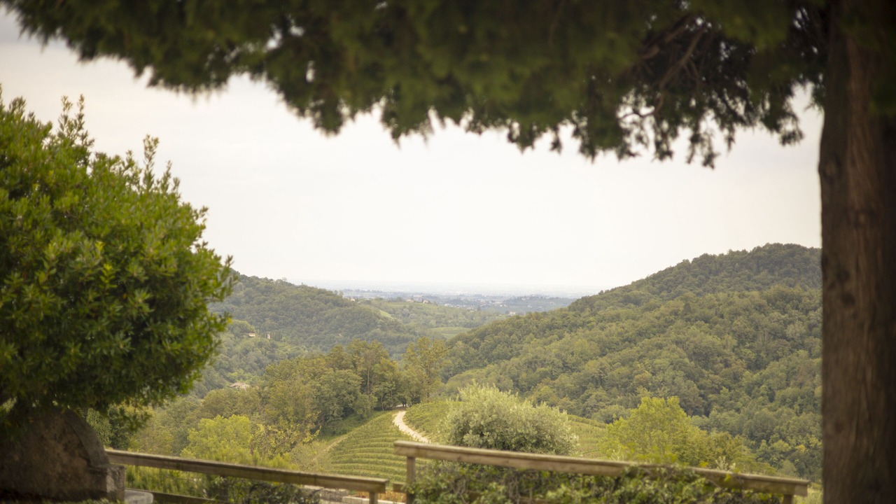 Photo of Outdoor in Arfanta