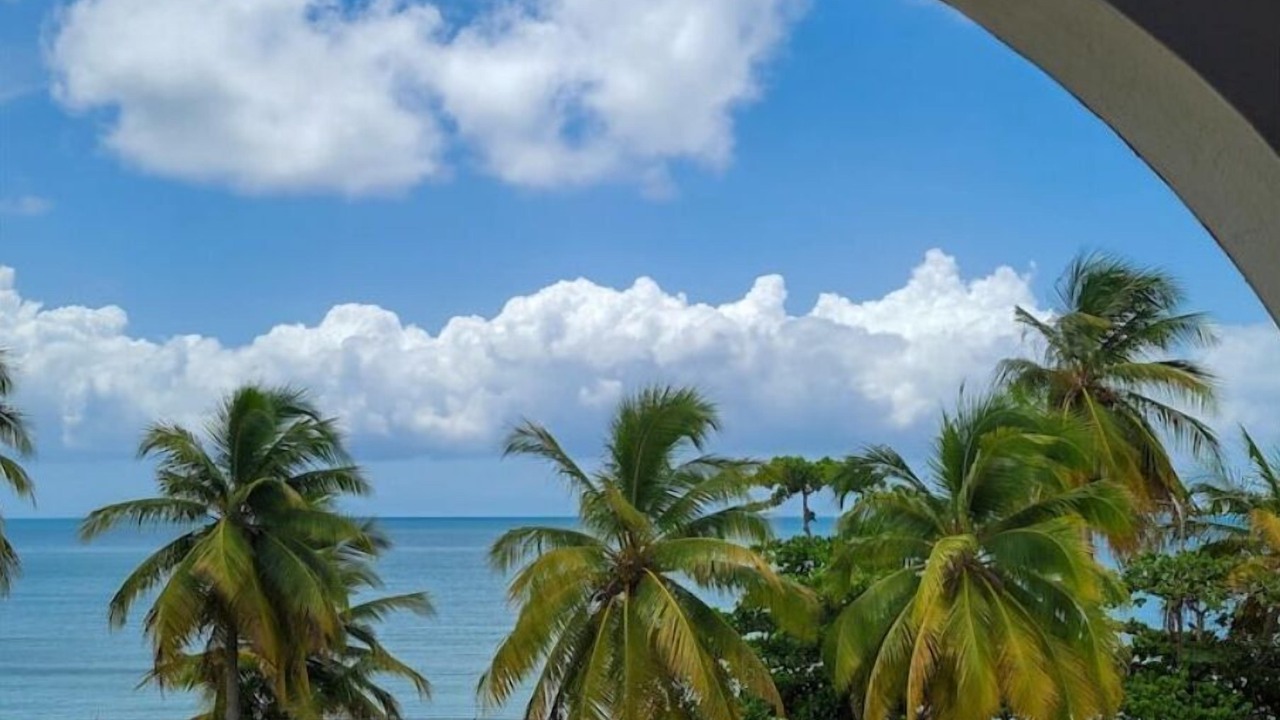 Photo of Outdoor in Naguabo
