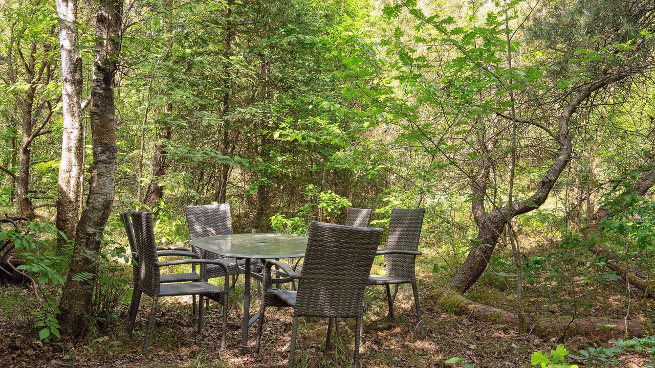 Photo of Outdoor in Skovgaarde